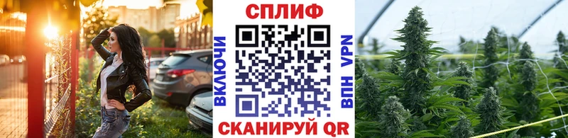 Псилоцибиновые грибы Кингисепп