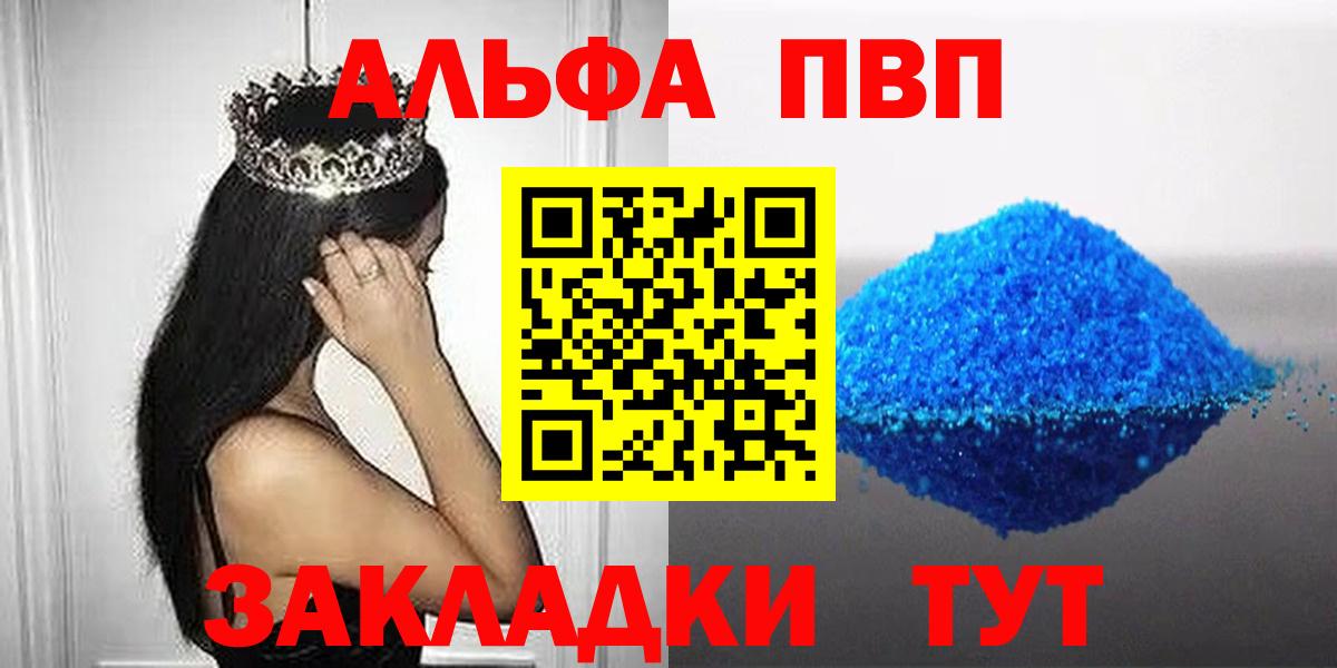 Альфа ПВП СК Кингисепп