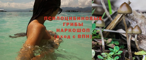соль ск Михайлов