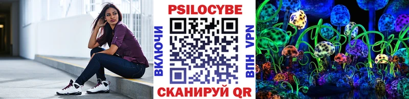 купить наркоту  Кингисепп  Галлюциногенные грибы ЛСД 