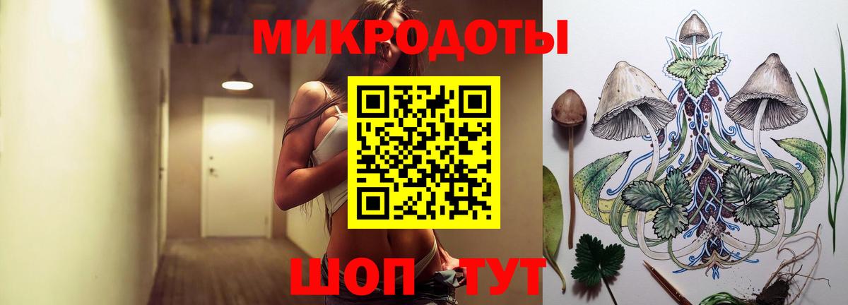 Галлюциногенные грибы Psilocybe Кингисепп