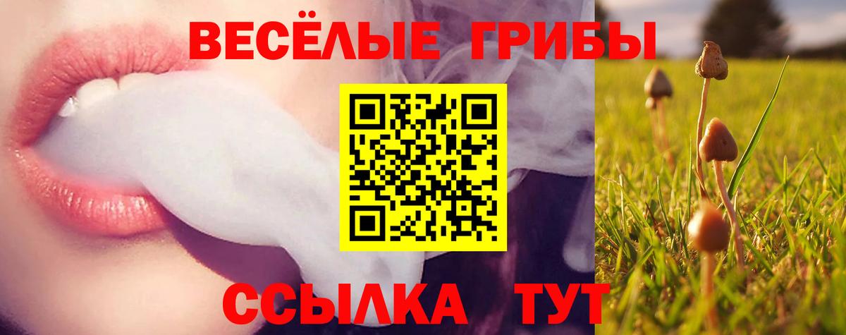 Кингисепп  Галлюциногенные грибы ЛСД  Вход с VPN  Галлюциногенные грибы Cubensis 