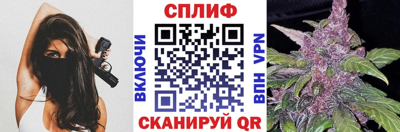 Конопля индика  Кингисепп 